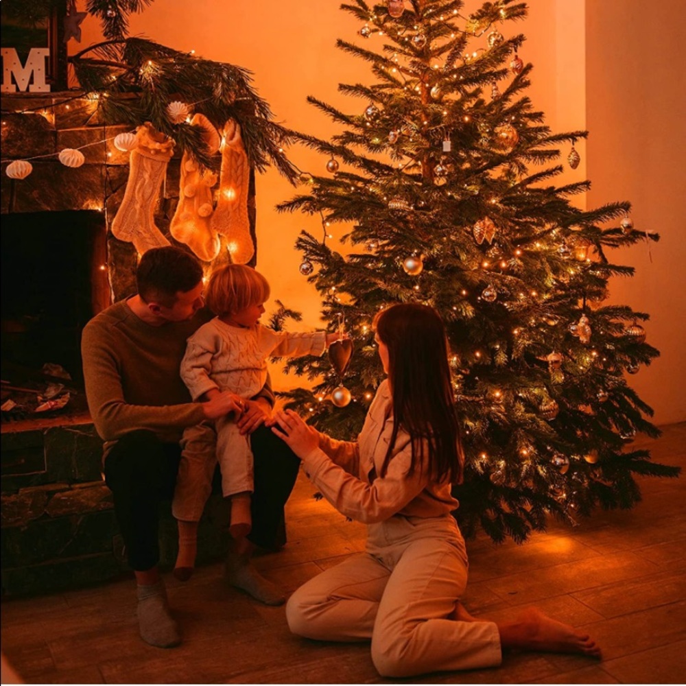 LED Christmas Lights